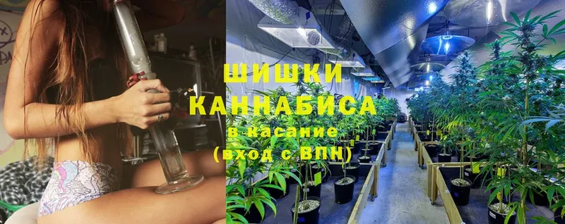 Конопля LSD WEED  Сорск 